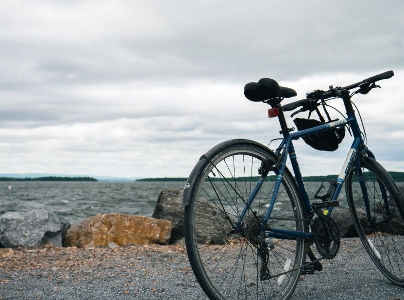How Much Does a Road Bike Weigh