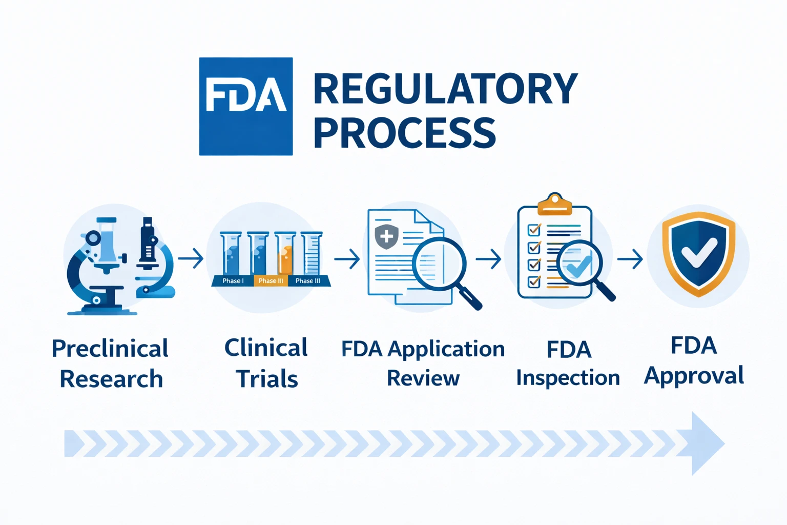 A Global Guide to Regulatory Compliance FDA, EMA, and Beyond
