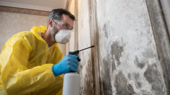 Mold Prevention and Treatment