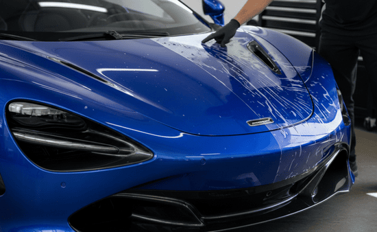 Preserving Vehicle Appearance and Value