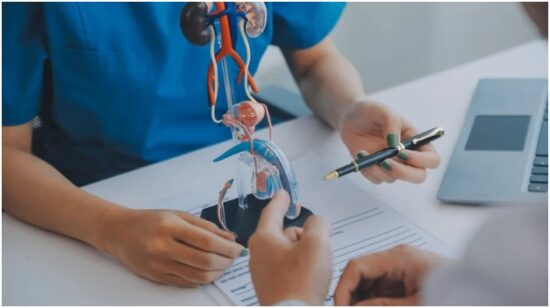 Understanding Urology