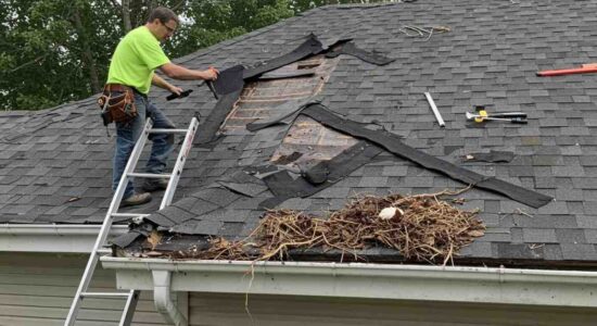 Hurricanes And Coastal Rain