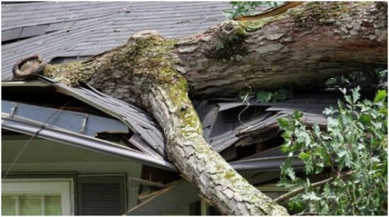 Make Sure You Are Safe First