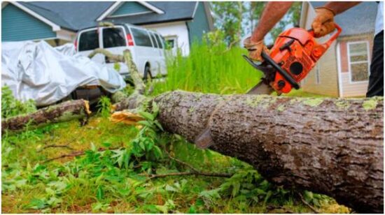 Prevent Further Damage Right Away