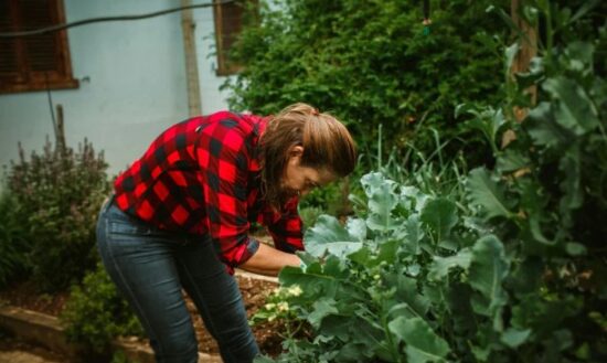 Low-Maintenance and Eco-Friendly