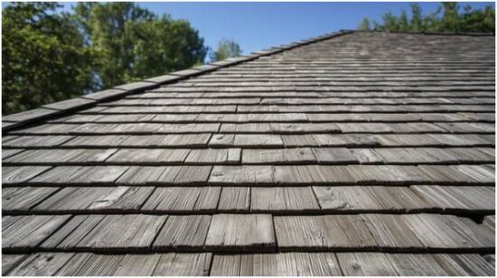 Longevity and Long-Term Value