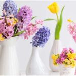 Best Reasons Monthly Flowers Suit Busy Modern Lifestyles