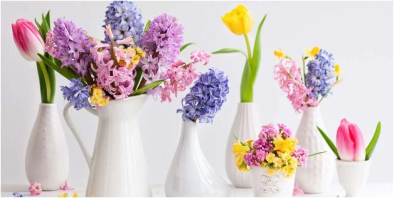 Best Reasons Monthly Flowers Suit Busy Modern Lifestyles
