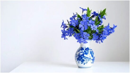 Subscription Savings Support Practical Spending Habits