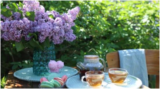 Seasonal Variety Arrives Without Extra Effort