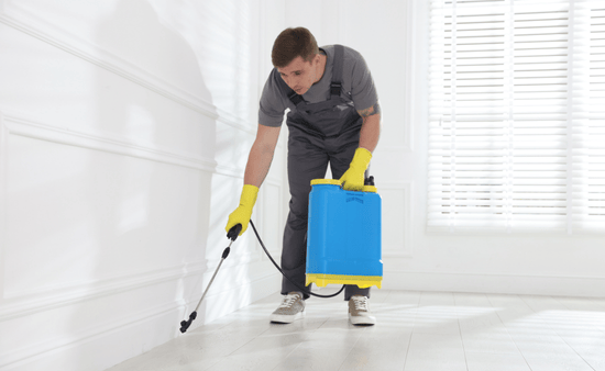 Seal All Potential Entry Points