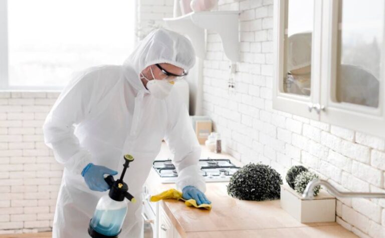 When Should Homes in Costa Mesa Schedule Pest Inspections?