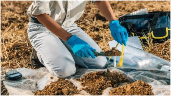 The Bedrock of Success: Comprehensive Soil Analysis