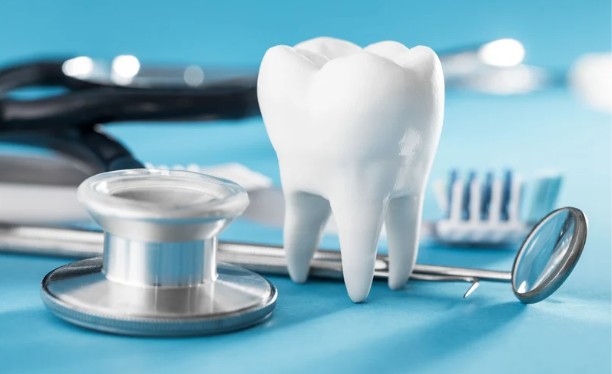 Top 8 North York Dental Practices for Preventive and Whole-Health Oral Care