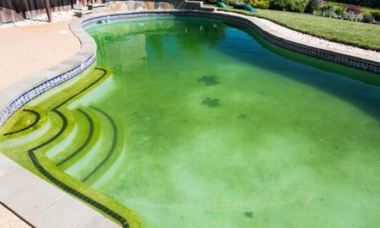 A Pool Changes Behavior Long Before It Changes Appearance